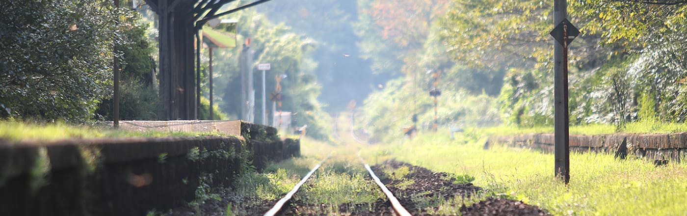 カピブロ　介護とニコとカピバラと